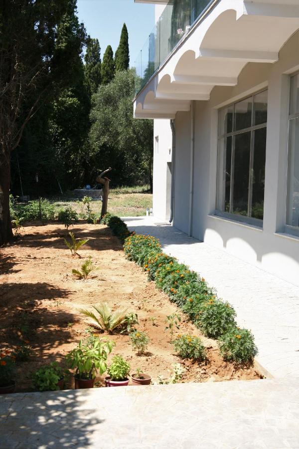 Terpsichore Boutique Appartments Dassia  Exterior foto